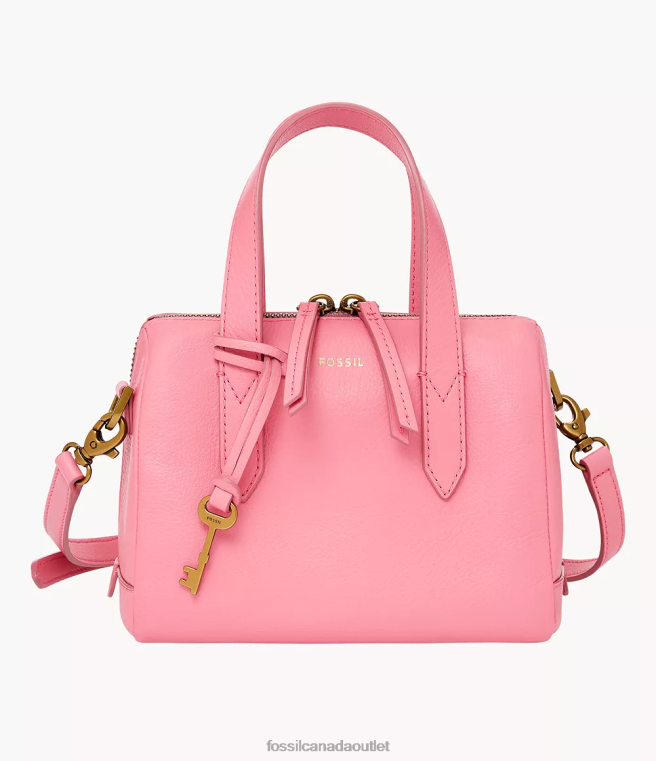 Fossil Bag Women Pink Sydney Mini Satchel D2VPL740