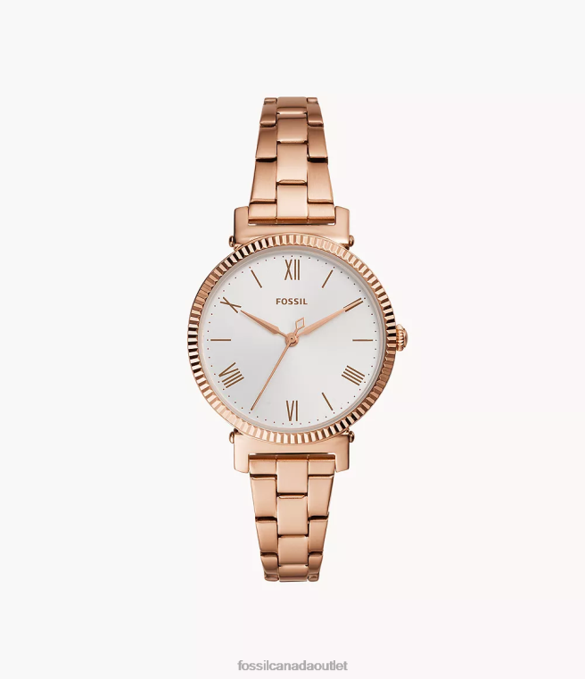Fossil Watch Women Rose Gold-Tone Daisy Three-Hand Stainless Steel Watch D2VPL61
